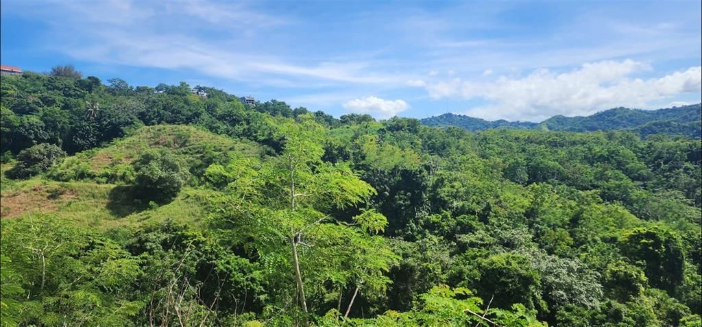 待售: $330,000 (0.77 acres)