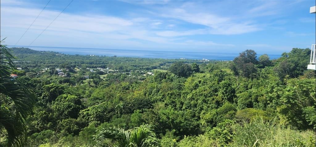 待售: $330,000 (0.77 acres)