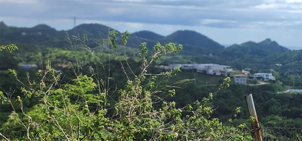 待售: $330,000 (0.77 acres)