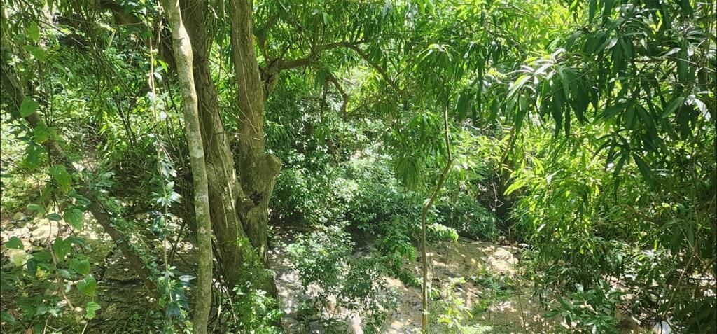 待售: $330,000 (0.78 acres)