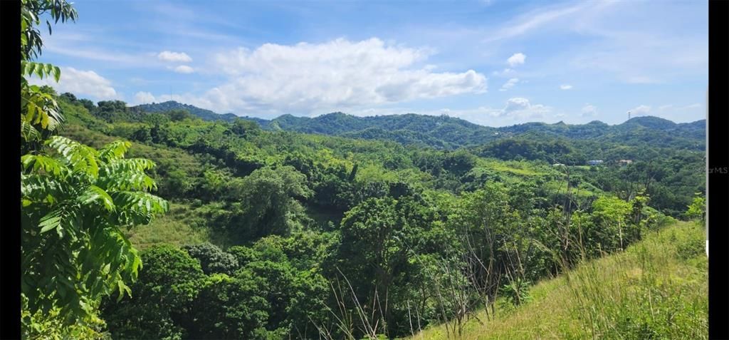 待售: $330,000 (0.78 acres)