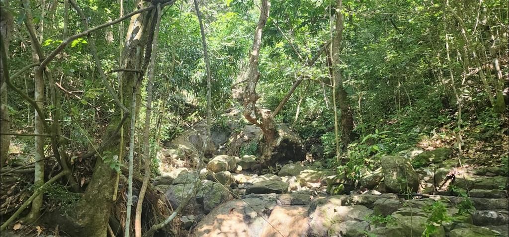 待售: $330,000 (0.78 acres)