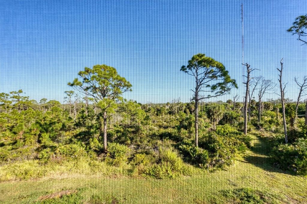 For Sale: $289,000 (2 beds, 2 baths, 1009 Square Feet)