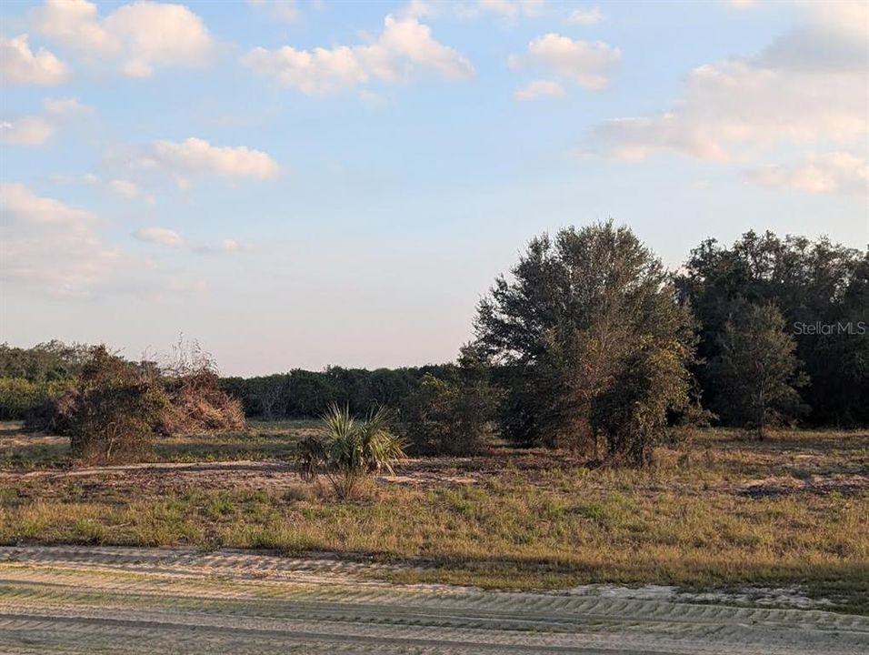 На продажу: $215,000 (9.41 acres)