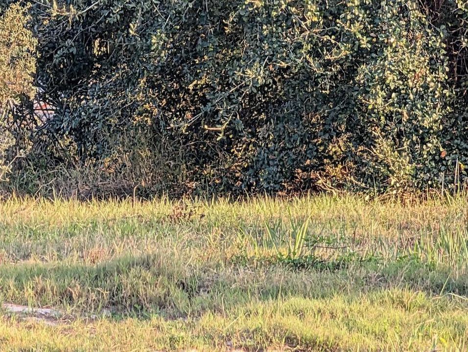 На продажу: $215,000 (9.41 acres)