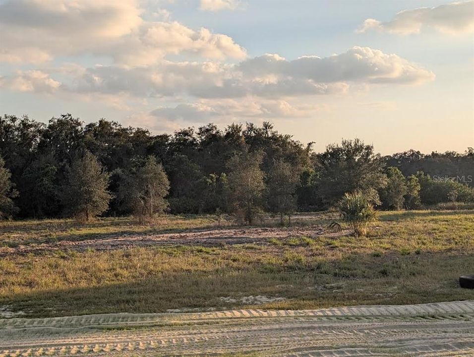 На продажу: $215,000 (9.41 acres)