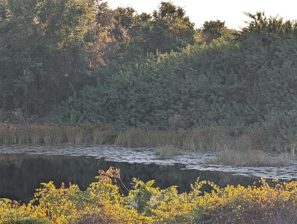 На продажу: $215,000 (9.41 acres)