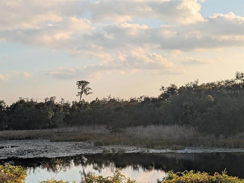 На продажу: $215,000 (9.41 acres)