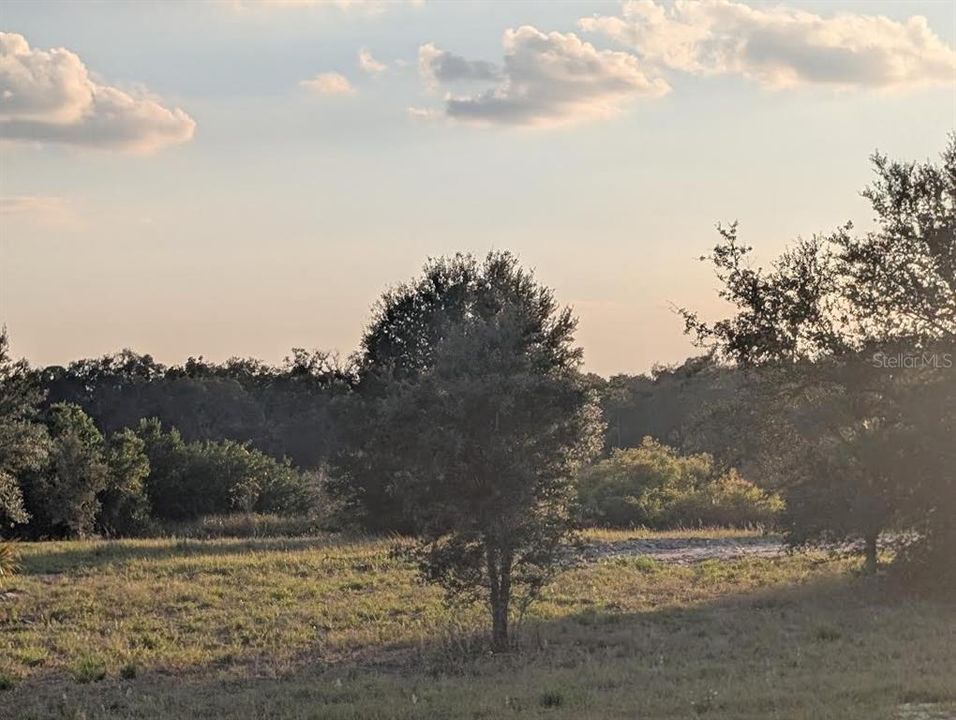 На продажу: $215,000 (9.41 acres)