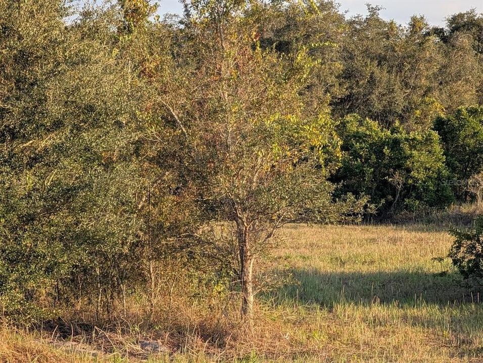 На продажу: $215,000 (9.41 acres)