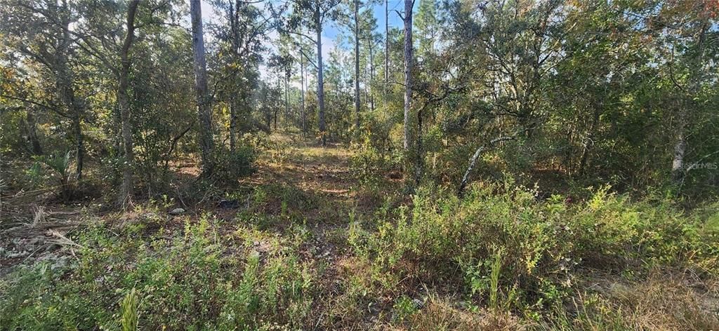 En Venta: $35,900 (0.99 acres)