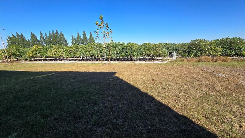 En Renta: $2,500 (6 camas, 3 baños, 2463 Pies cuadrados)