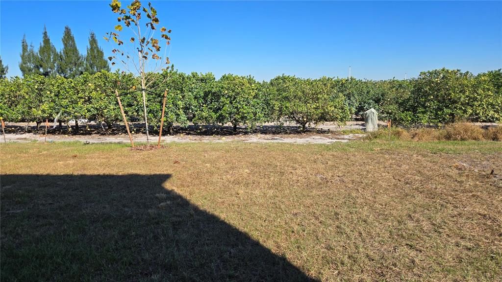 En Renta: $2,500 (6 camas, 3 baños, 2463 Pies cuadrados)