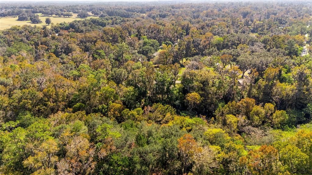 For Sale: $339,000 (2 beds, 2 baths, 1402 Square Feet)