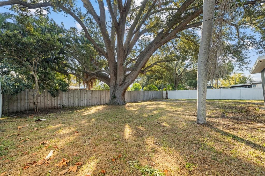 Active With Contract: $520,000 (2 beds, 2 baths, 1029 Square Feet)