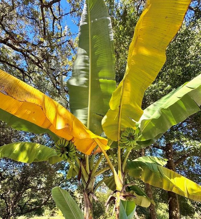 待售: $539,900 (3 贝兹, 2 浴室, 2596 平方英尺)