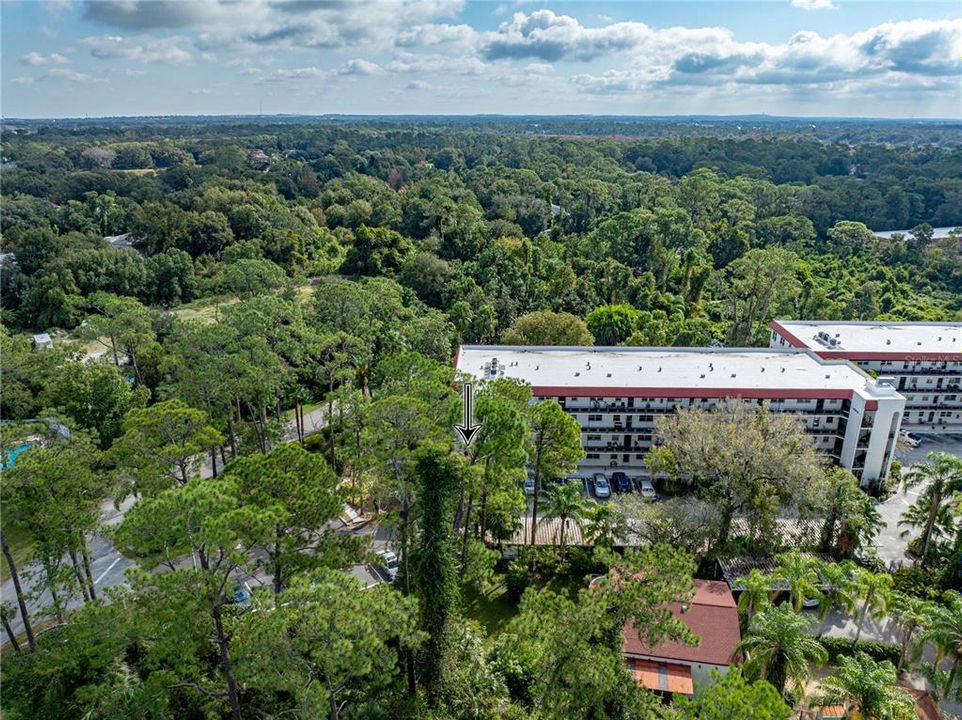 待售: $164,900 (3 贝兹, 2 浴室, 1617 平方英尺)