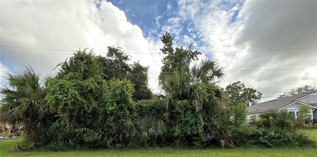 待售: $80,000 (0.23 acres)