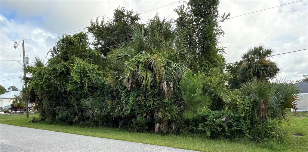 待售: $80,000 (0.23 acres)