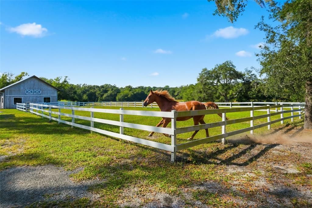 待售: $799,900 (4 贝兹, 3 浴室, 2308 平方英尺)