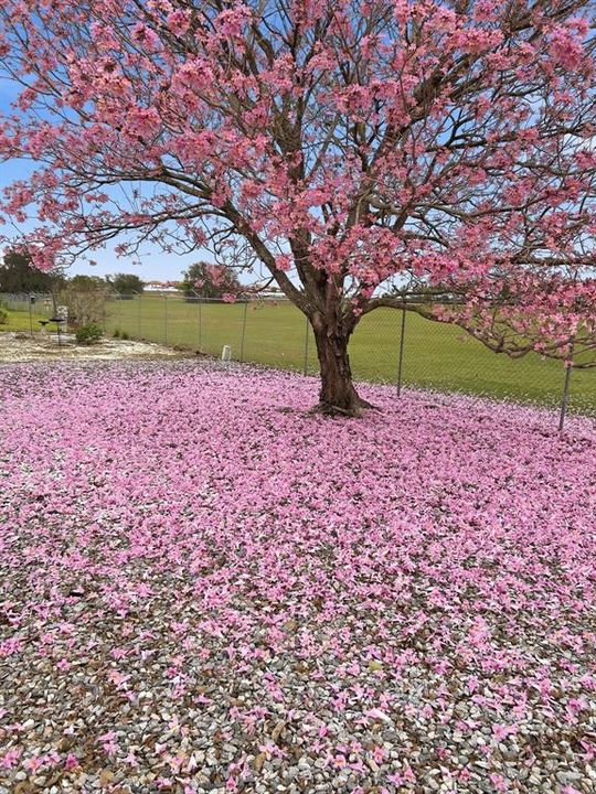 En Venta: $229,000 (2 camas, 2 baños, 1248 Pies cuadrados)