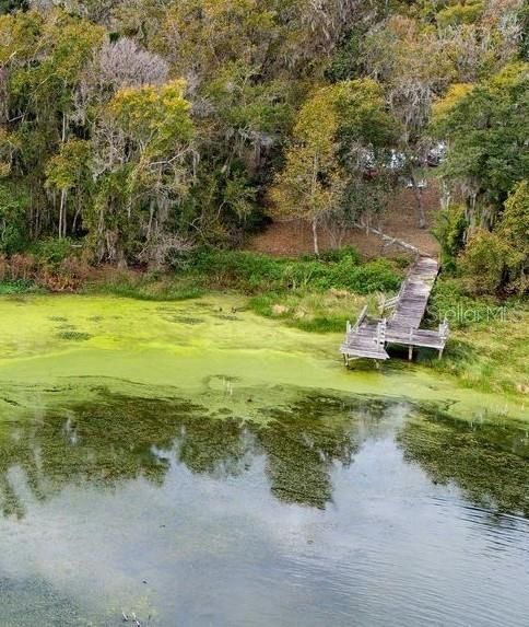 待售: $375,000 (2 贝兹, 1 浴室, 959 平方英尺)