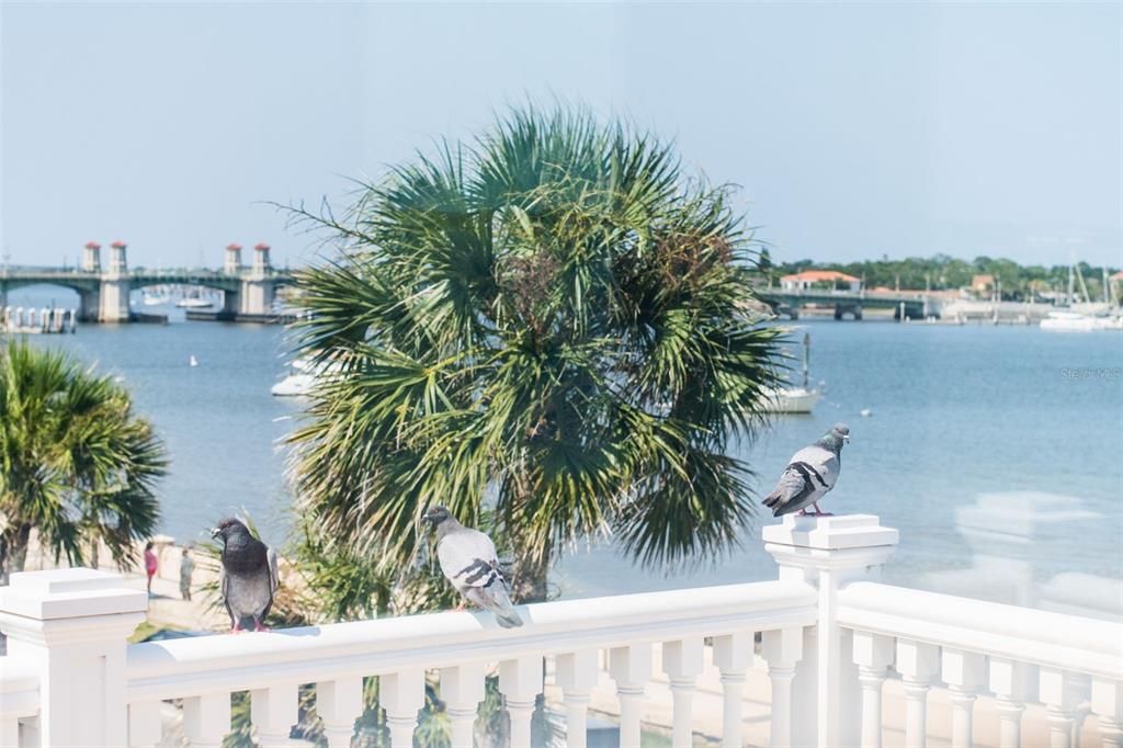 For Sale: $2,490,000 (6 beds, 5 baths, 3999 Square Feet)