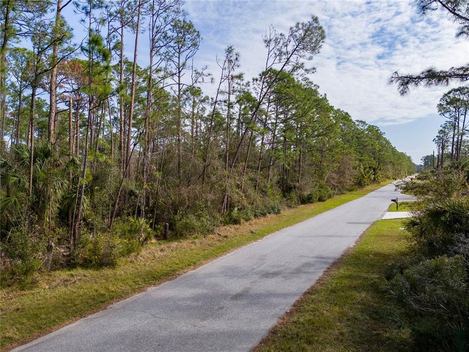 For Sale: $335,000 (3.00 acres)