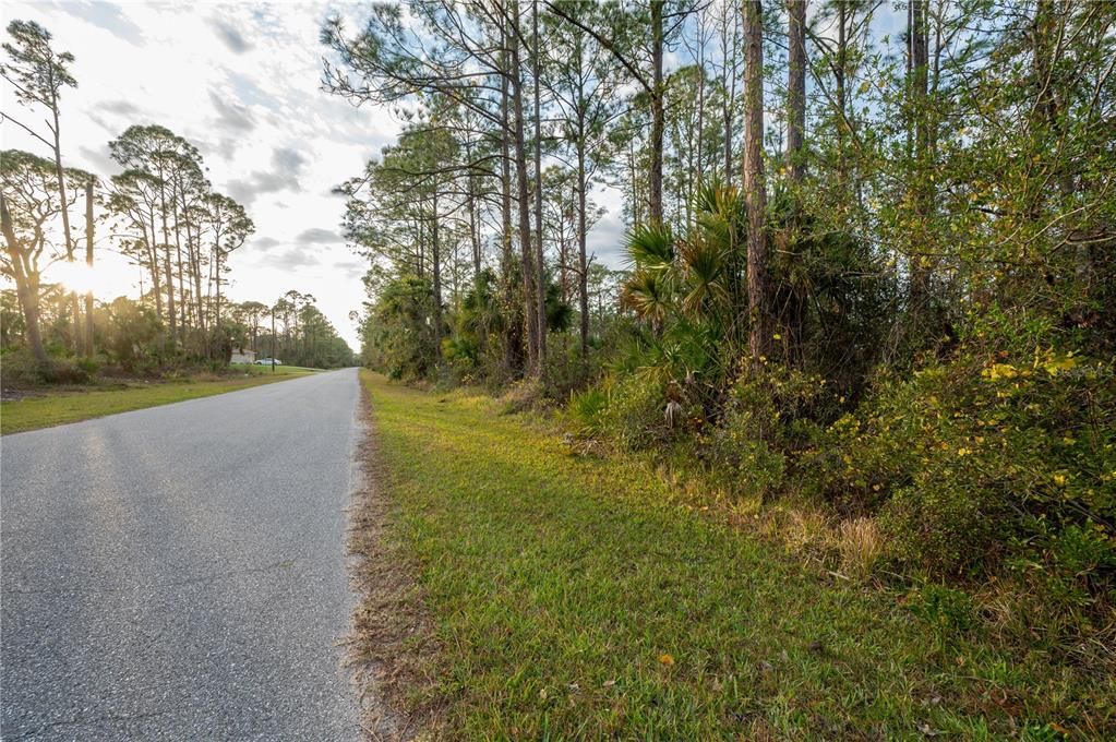 For Sale: $335,000 (3.00 acres)