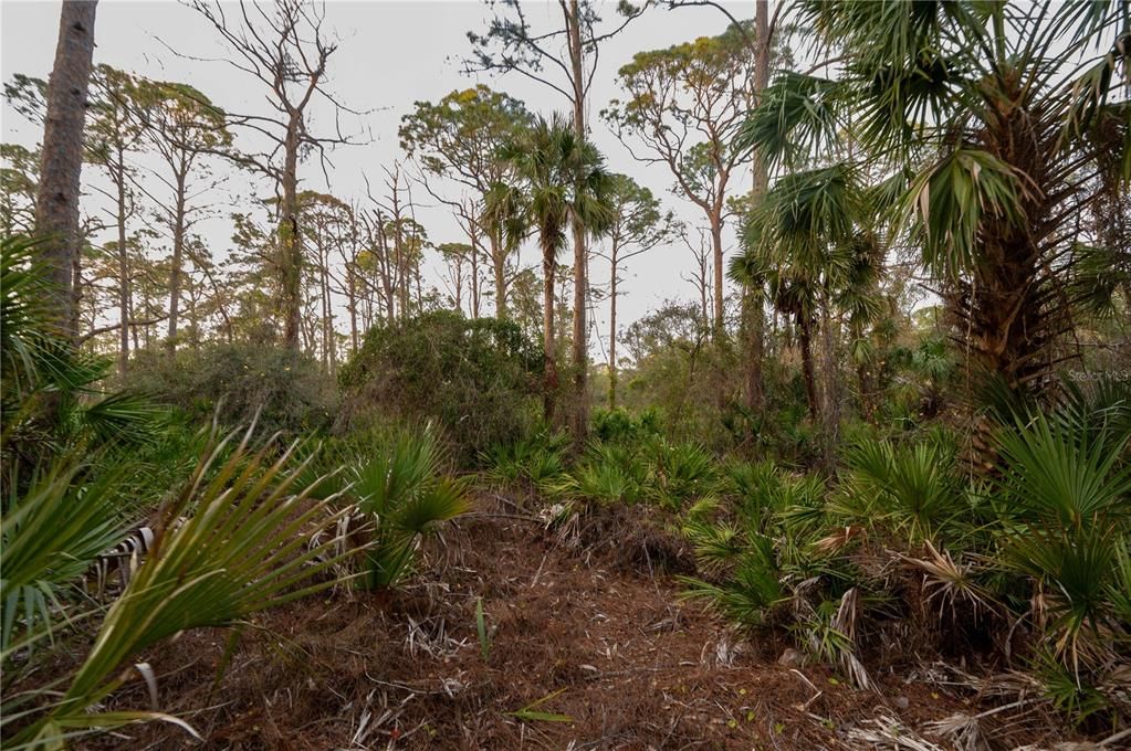 For Sale: $335,000 (3.00 acres)