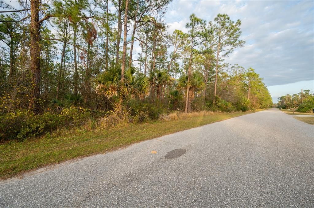 For Sale: $335,000 (3.00 acres)