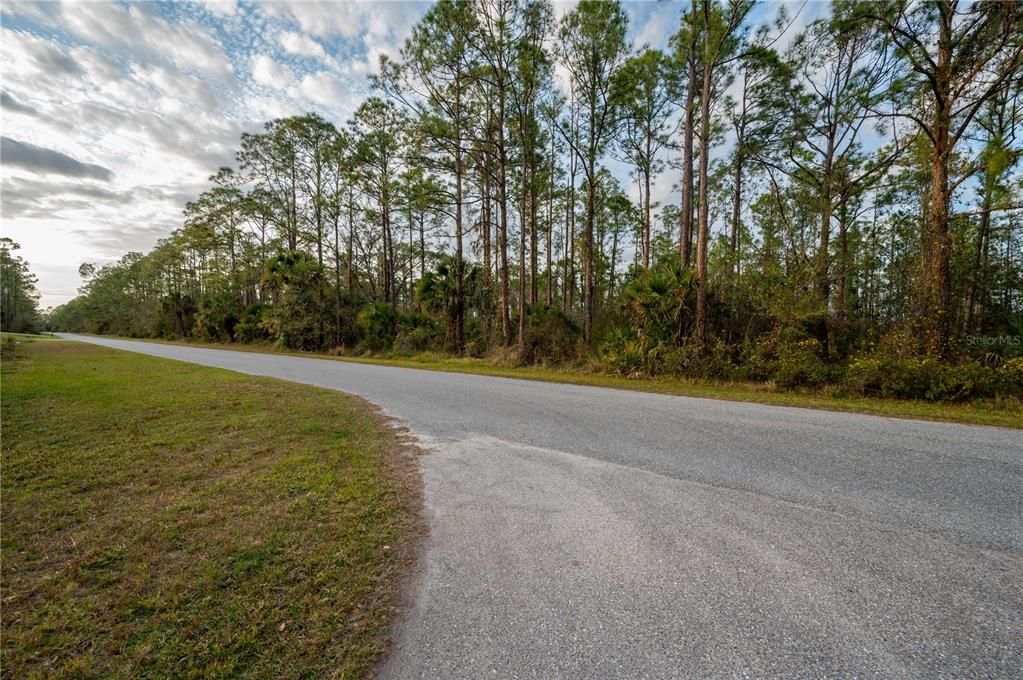 For Sale: $335,000 (3.00 acres)