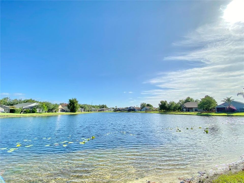 На продажу: $420,000 (3 спален, 2 ванн, 1451 Квадратных фут)