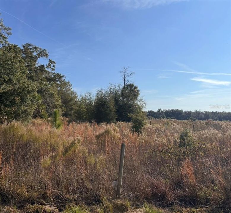 待售: $30,000 (0.39 acres)