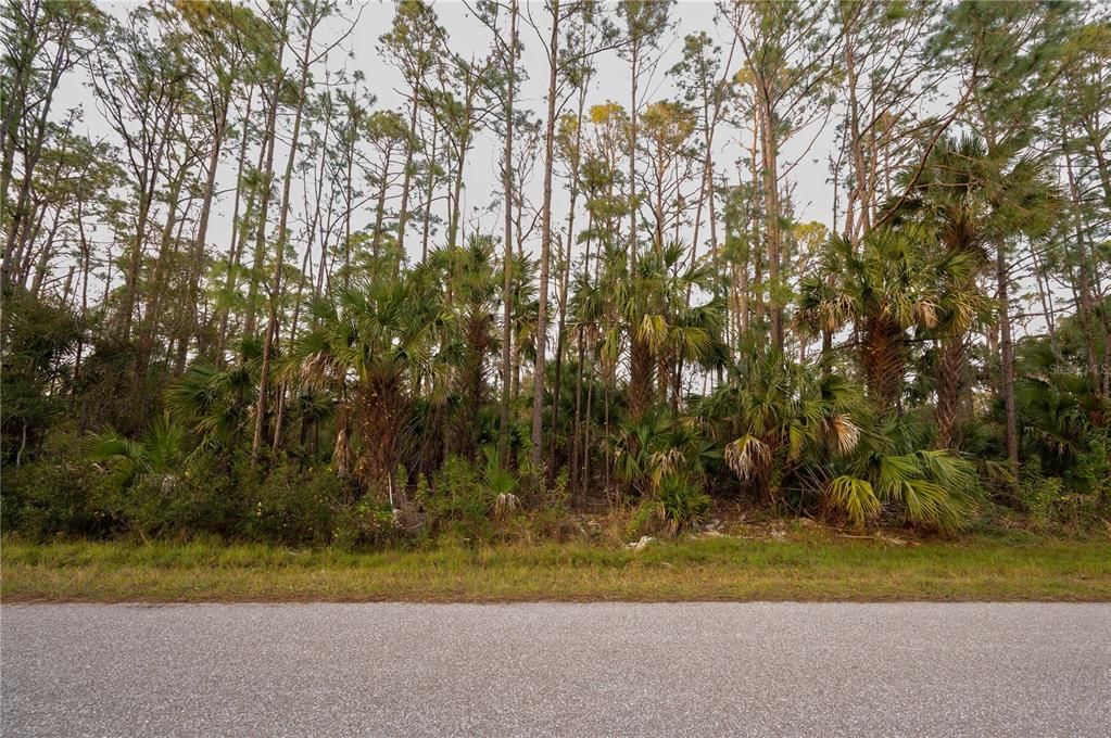 En Venta: $335,000 (3.00 acres)