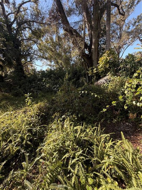 待售: $164,500 (3 贝兹, 2 浴室, 1040 平方英尺)