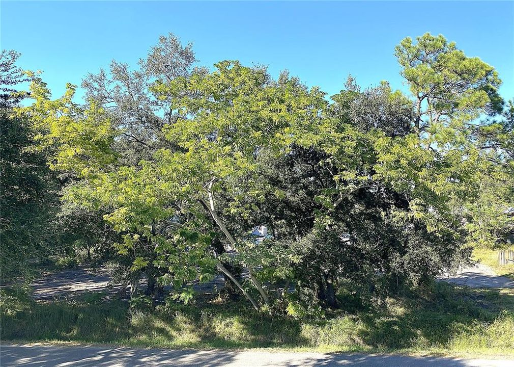 En Venta: $300,000 (0.57 acres)