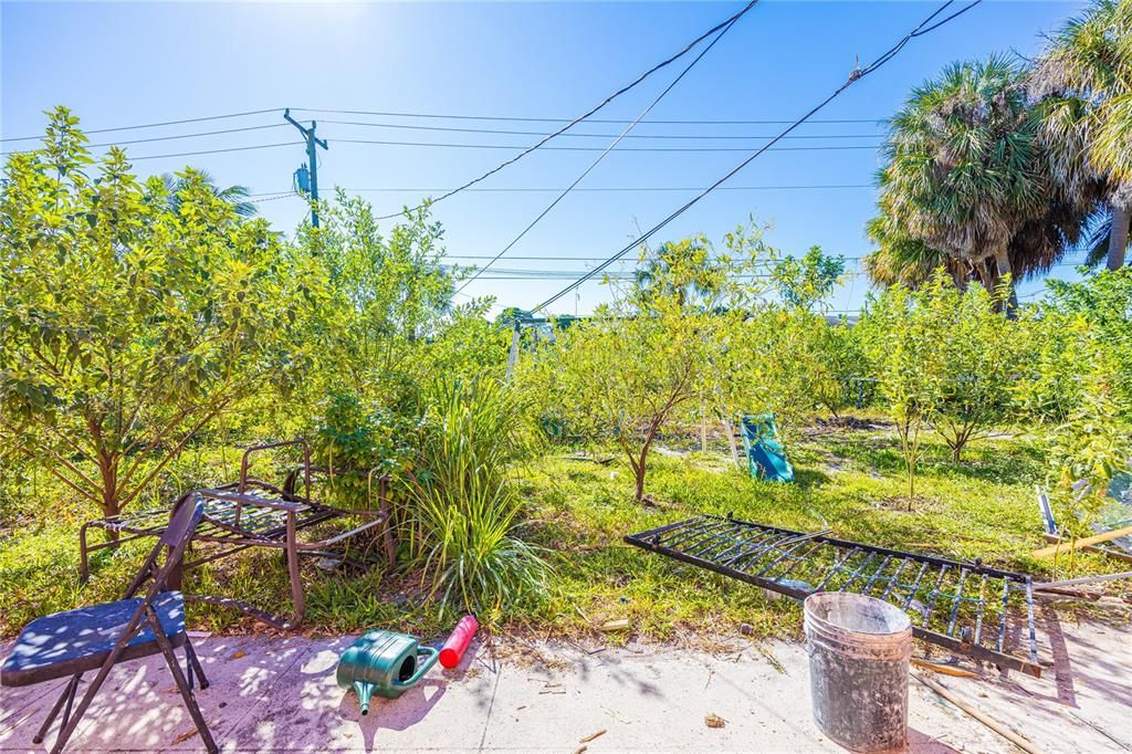 待售: $419,999 (4 贝兹, 0 浴室, 1430 平方英尺)