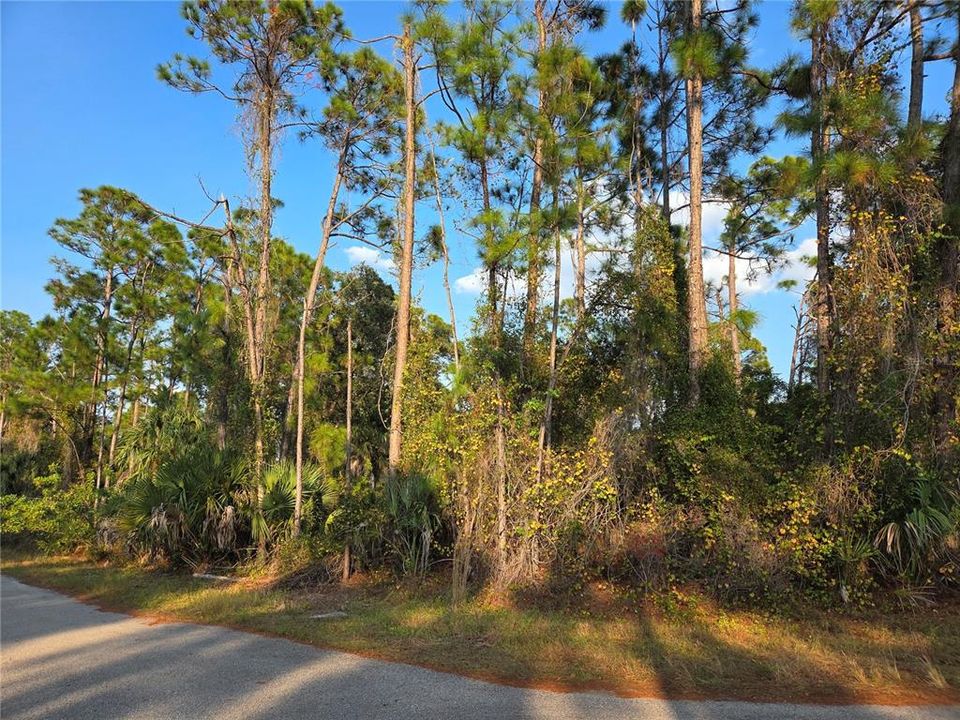 For Sale: $20,000 (0.28 acres)