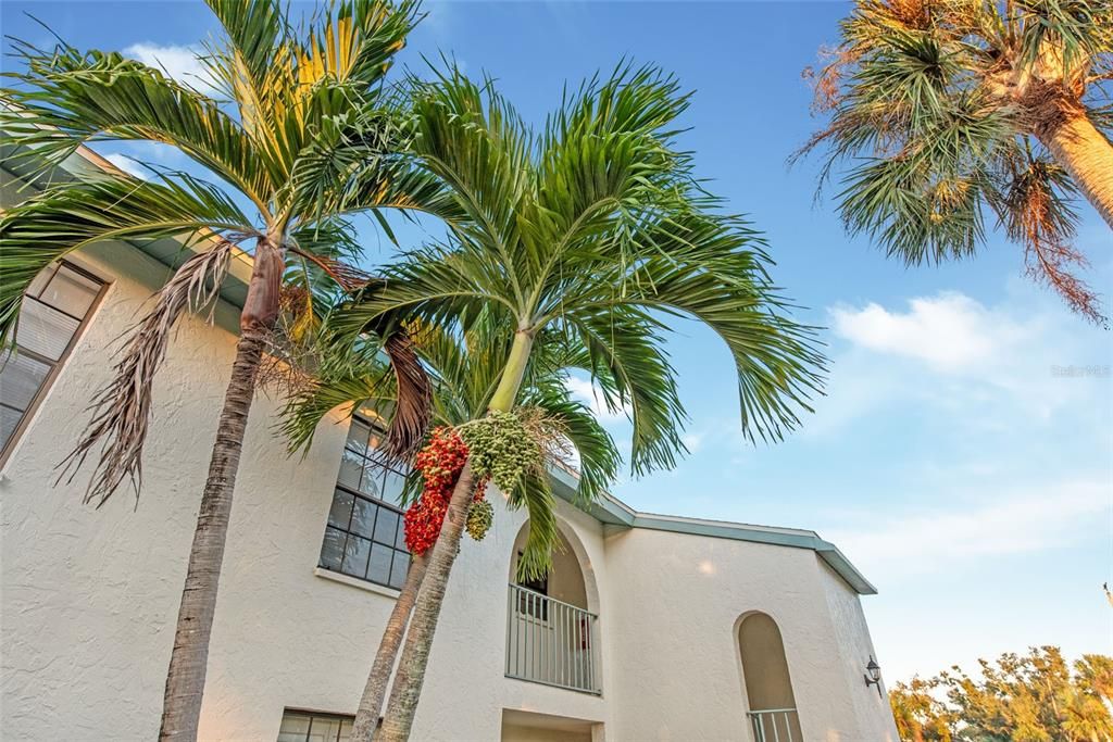 待售: $211,000 (2 贝兹, 2 浴室, 1066 平方英尺)