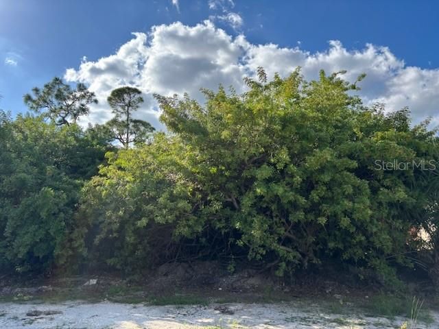 For Sale: $19,900 (0.23 acres)