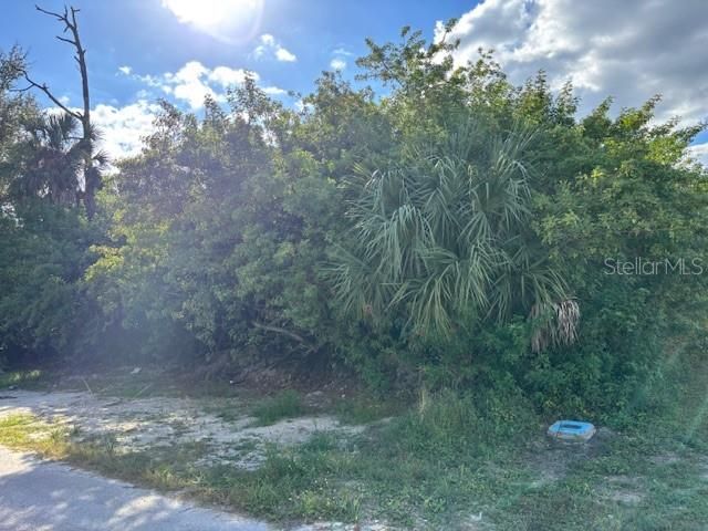 For Sale: $19,900 (0.23 acres)