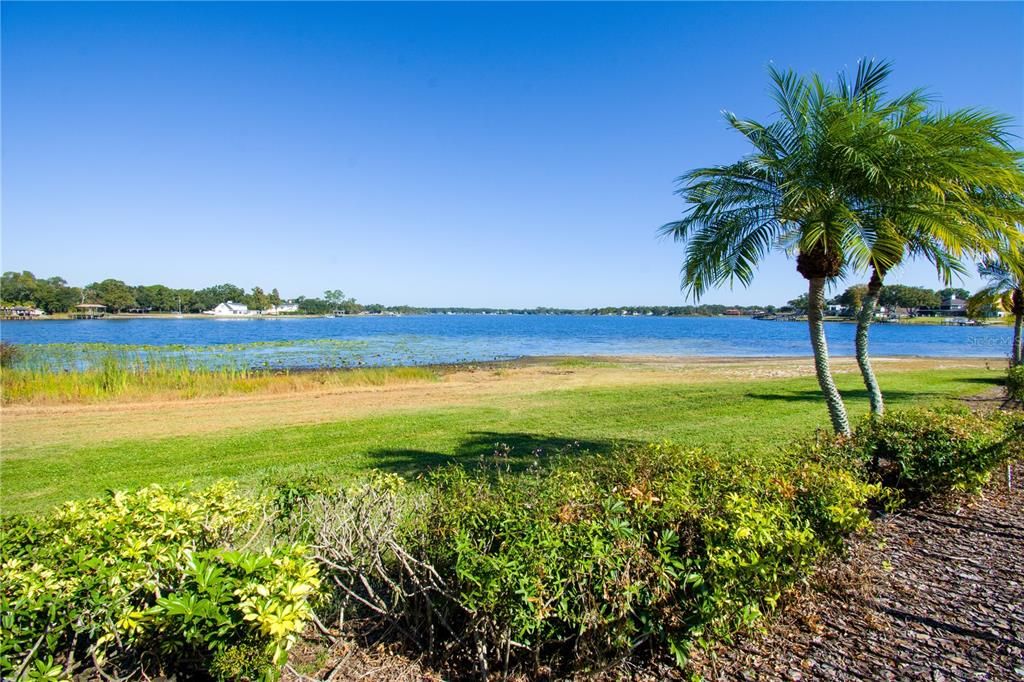 出租: $1,500 (1 贝兹, 1 浴室, 644 平方英尺)