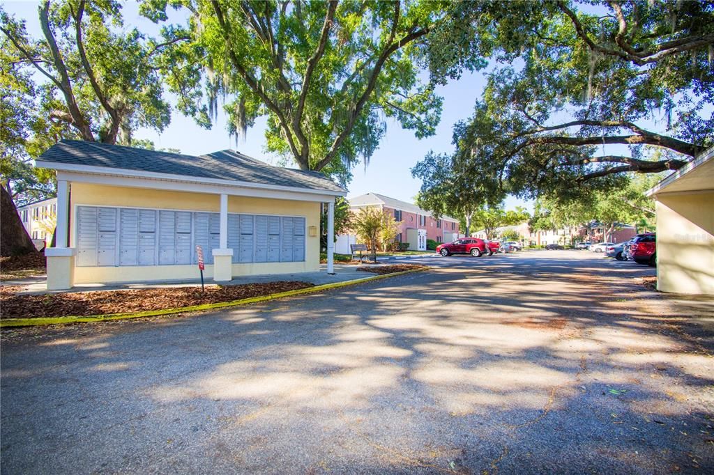 出租: $1,500 (1 贝兹, 1 浴室, 644 平方英尺)