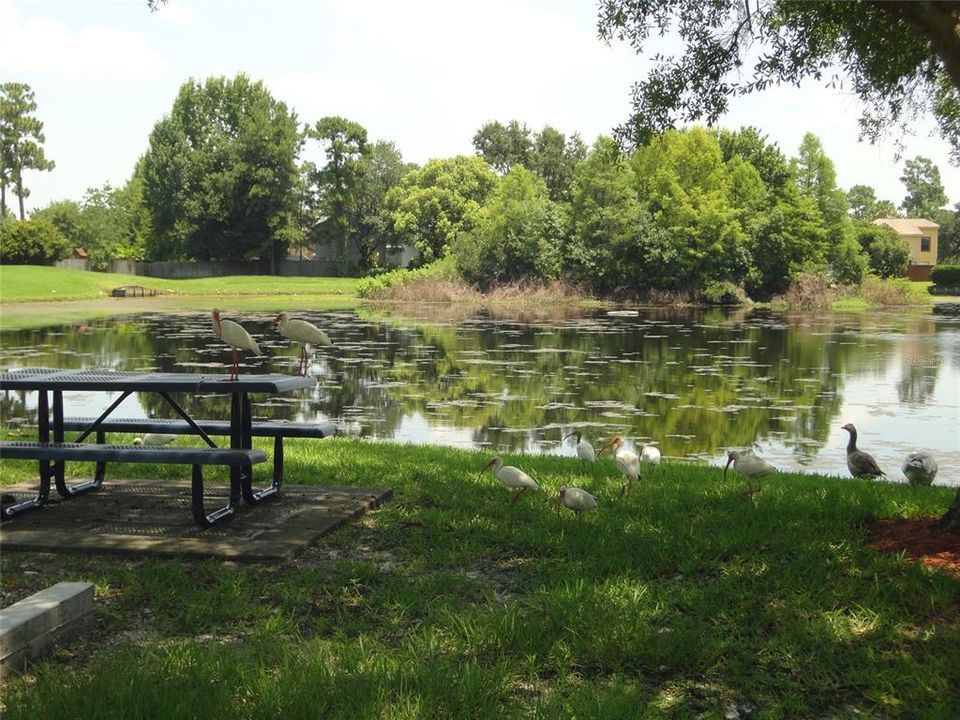 В аренду: $2,075 (3 спален, 2 ванн, 1216 Квадратных фут)