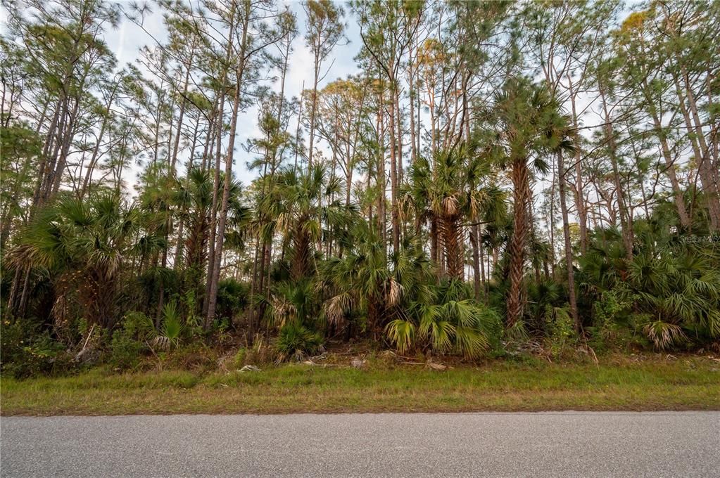 На продажу: $335,000 (3.00 acres)