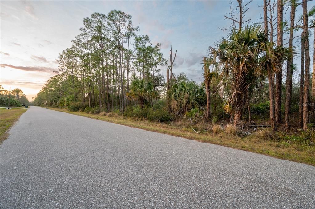 На продажу: $335,000 (3.00 acres)