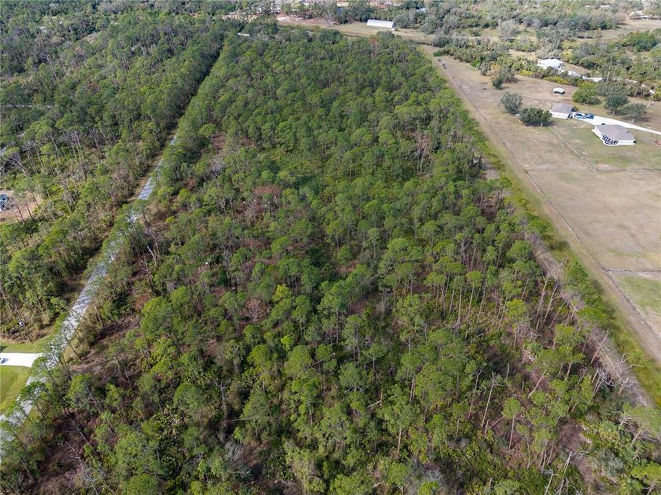 На продажу: $335,000 (3.00 acres)