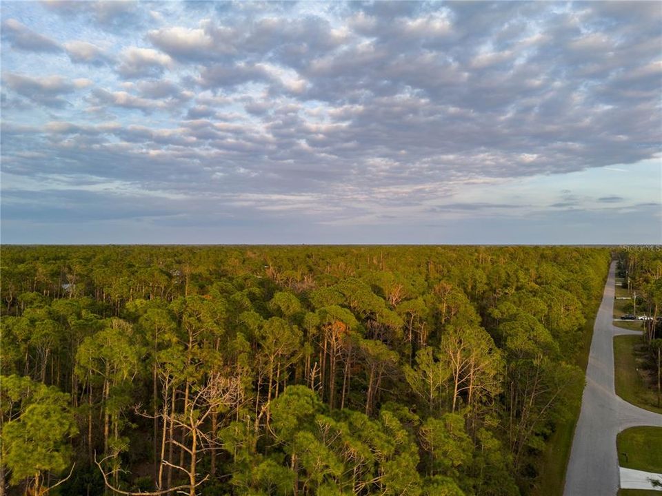 На продажу: $335,000 (3.00 acres)