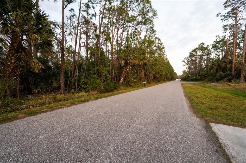 На продажу: $335,000 (3.00 acres)